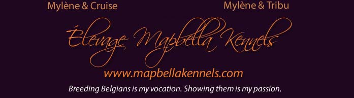 levage Mapbella Kennels